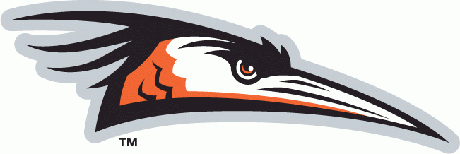 Delmarva Shorebirds 2010-Pres Primary Logo decal supplier